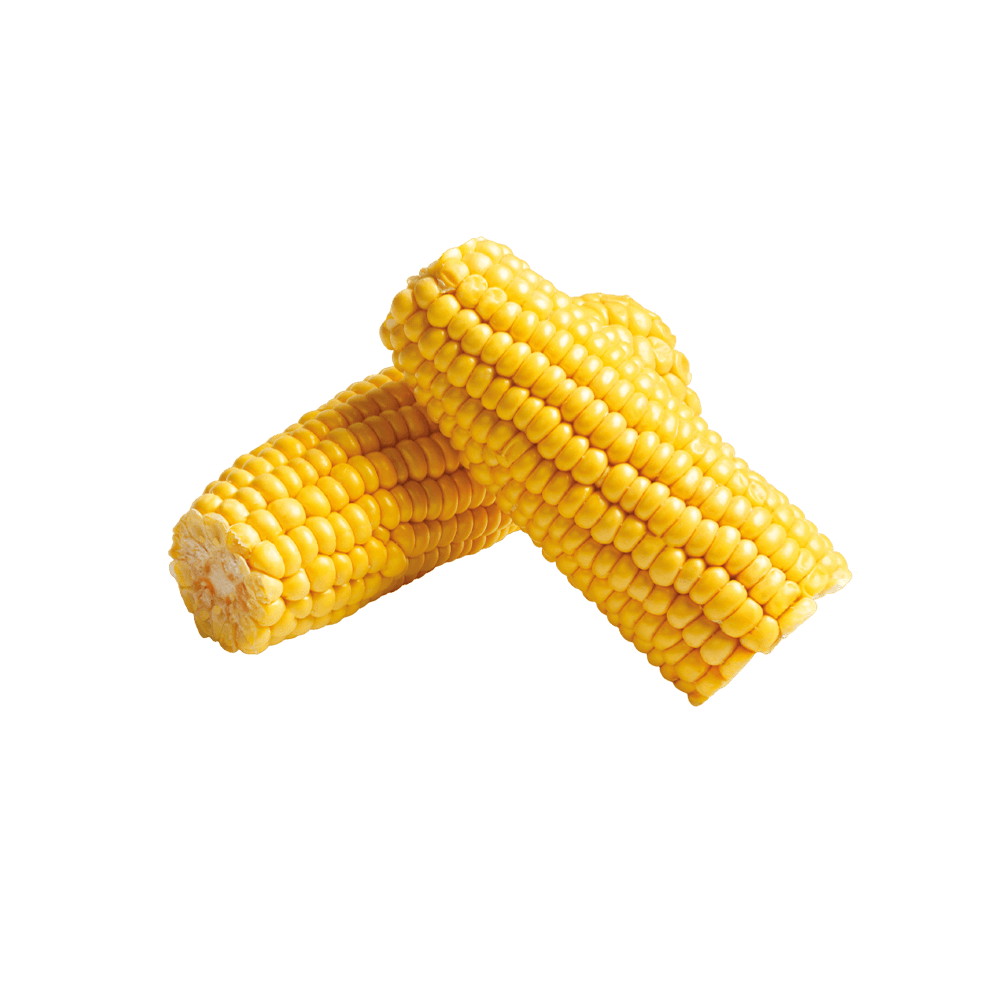 Cooked Sweet Corn