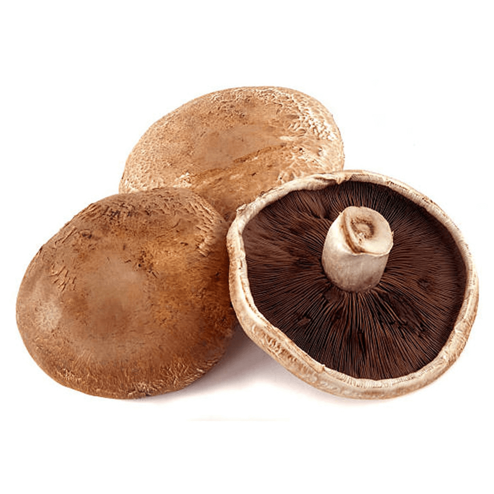 Dutch Mushroom Portobello