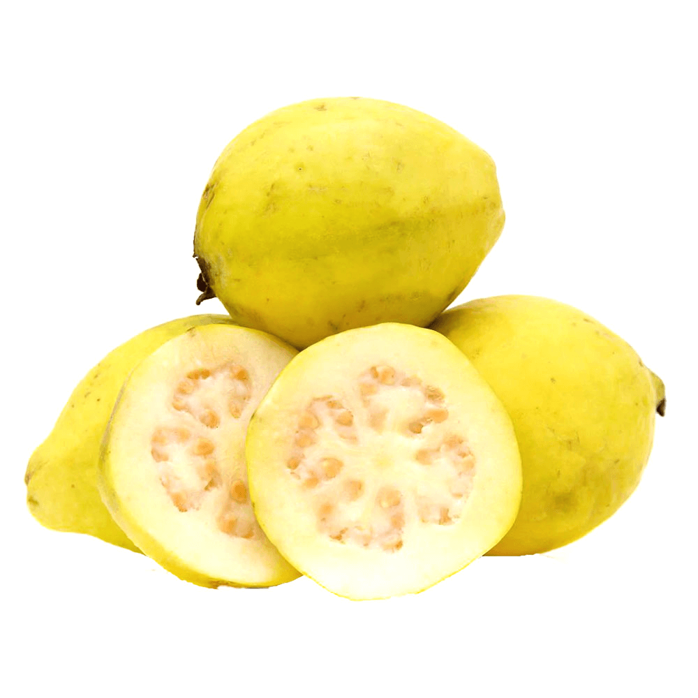 Egyptian Guava