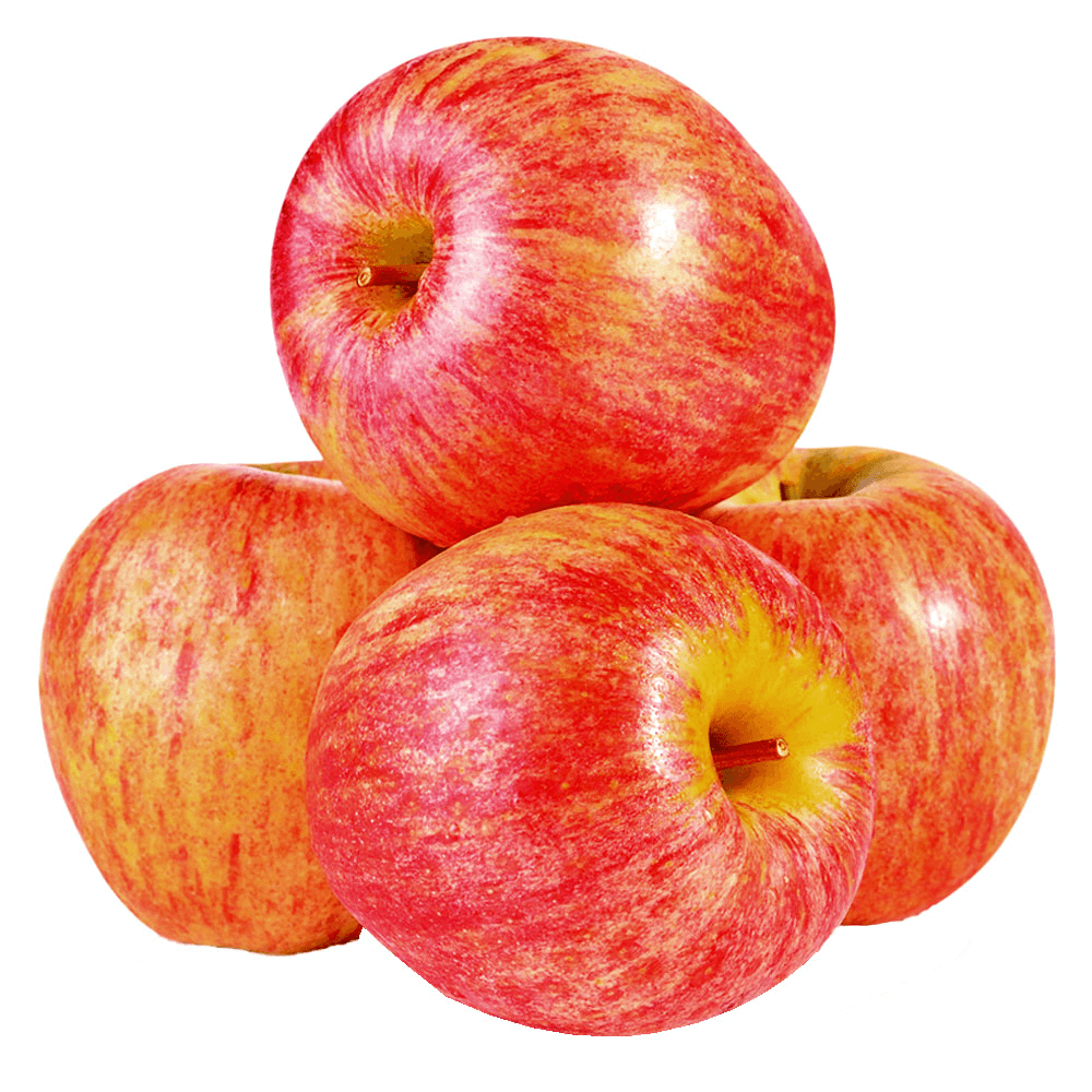 French Royal Gala Apple