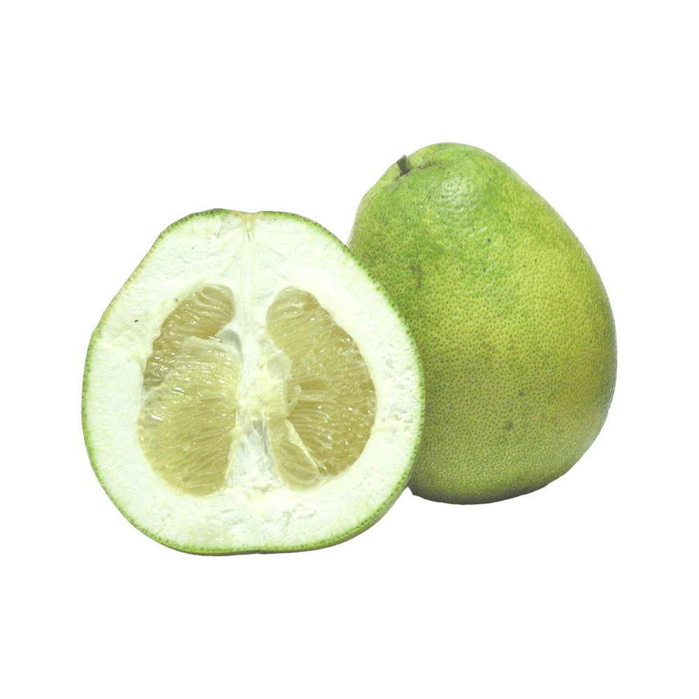 Jordanian pomelo