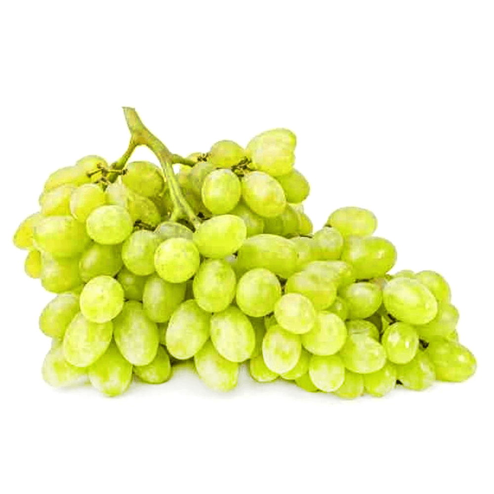 Lebanese White Grape