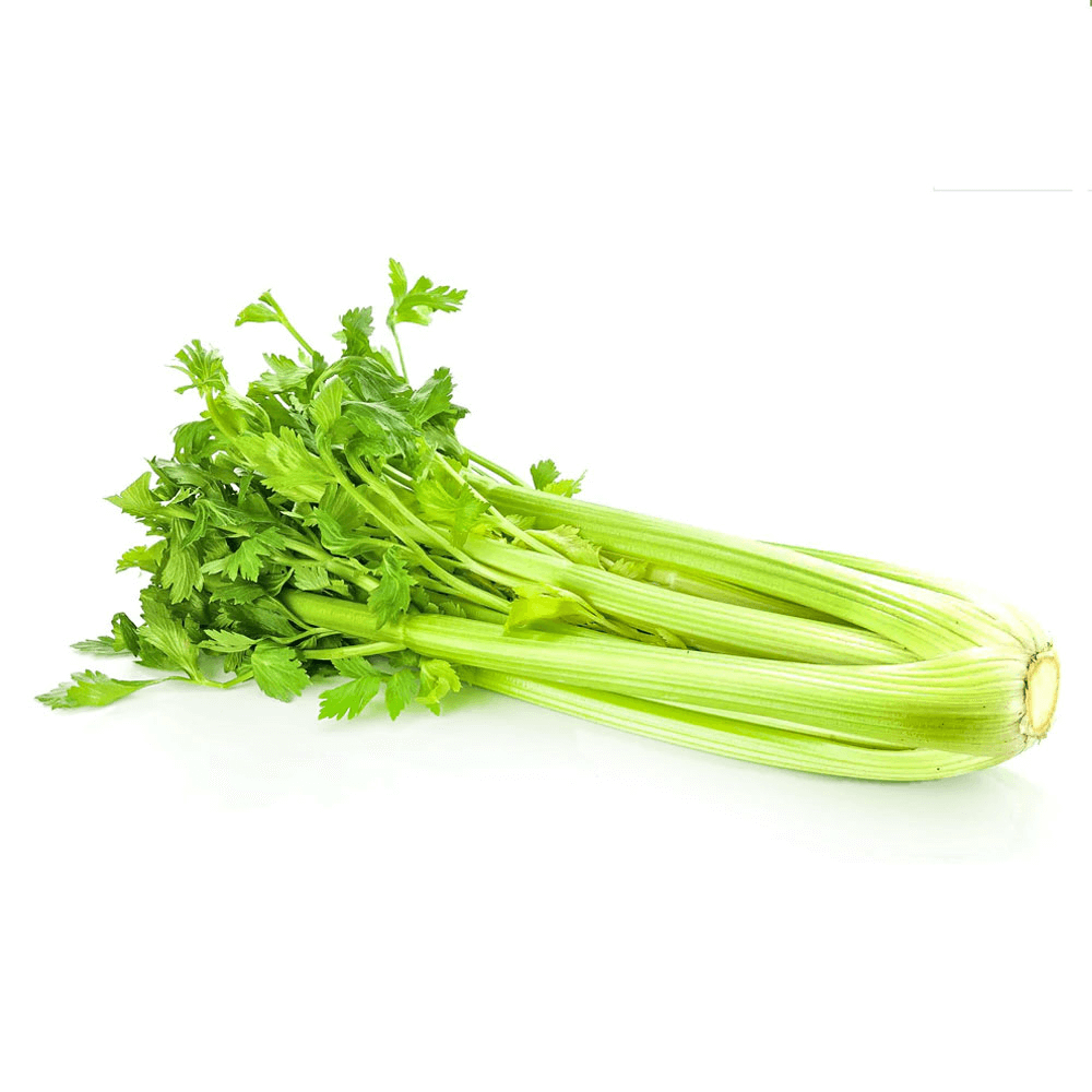 Celery From USA