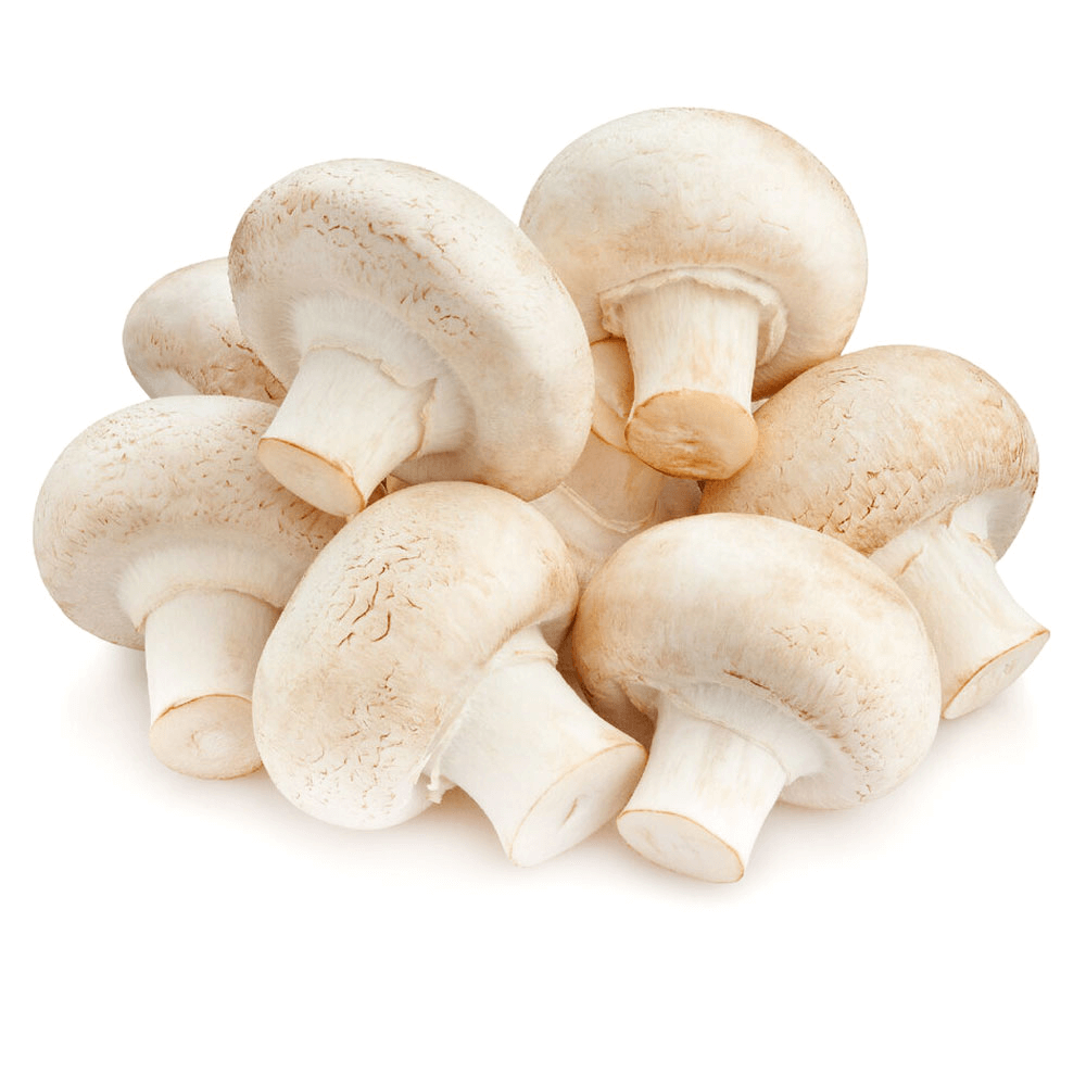 Kuwaiti Mushroom