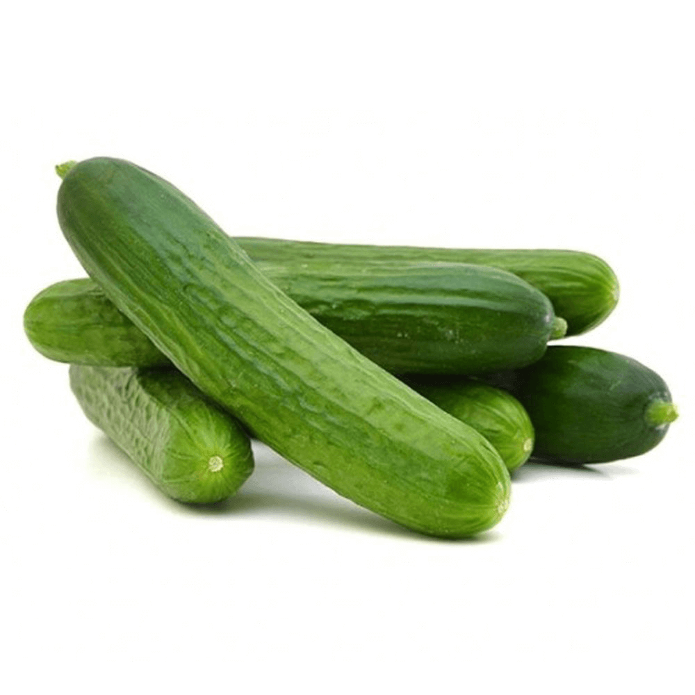 Kuwaiti Cucumber