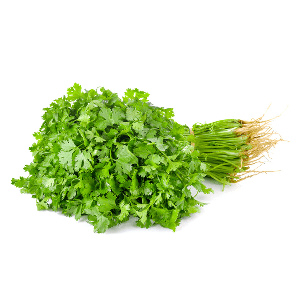 Kuwaiti Coriander