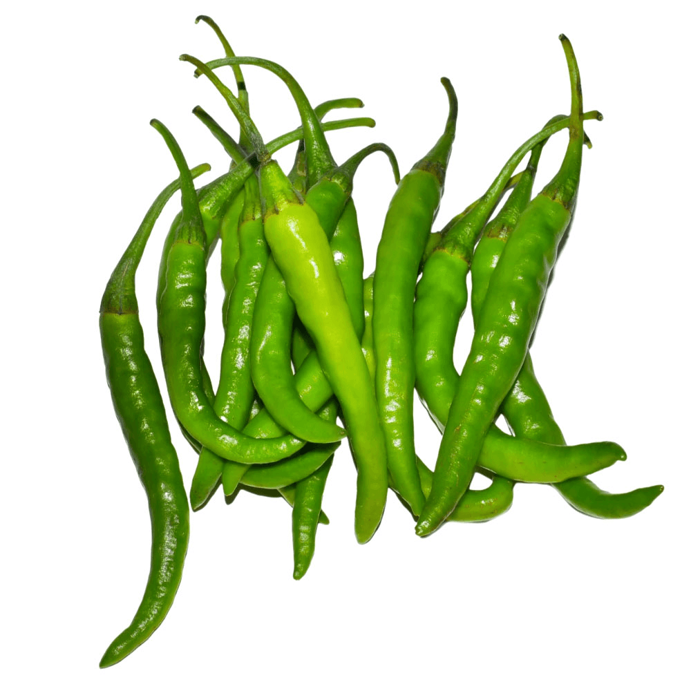 [KW046156] Indian Chilli