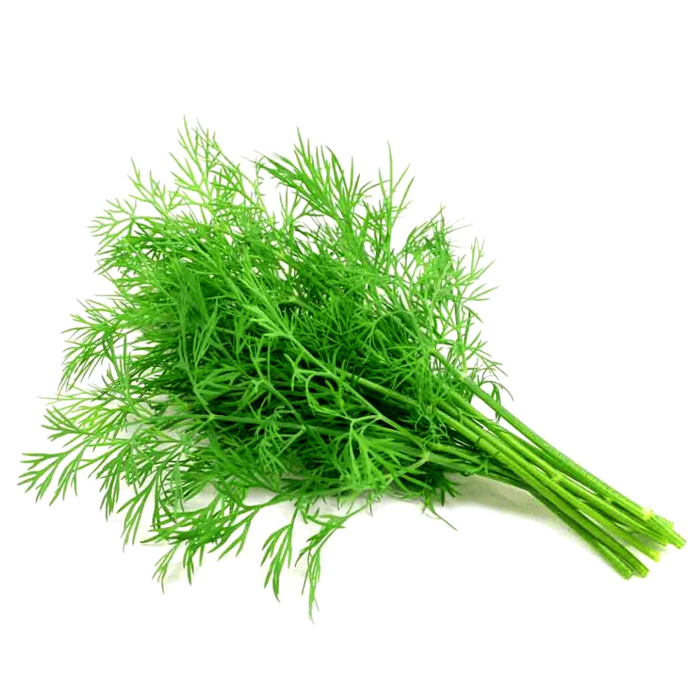 Kuwaiti Dill