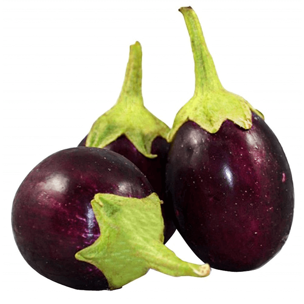 Kuwaiti Rounded Eggplant