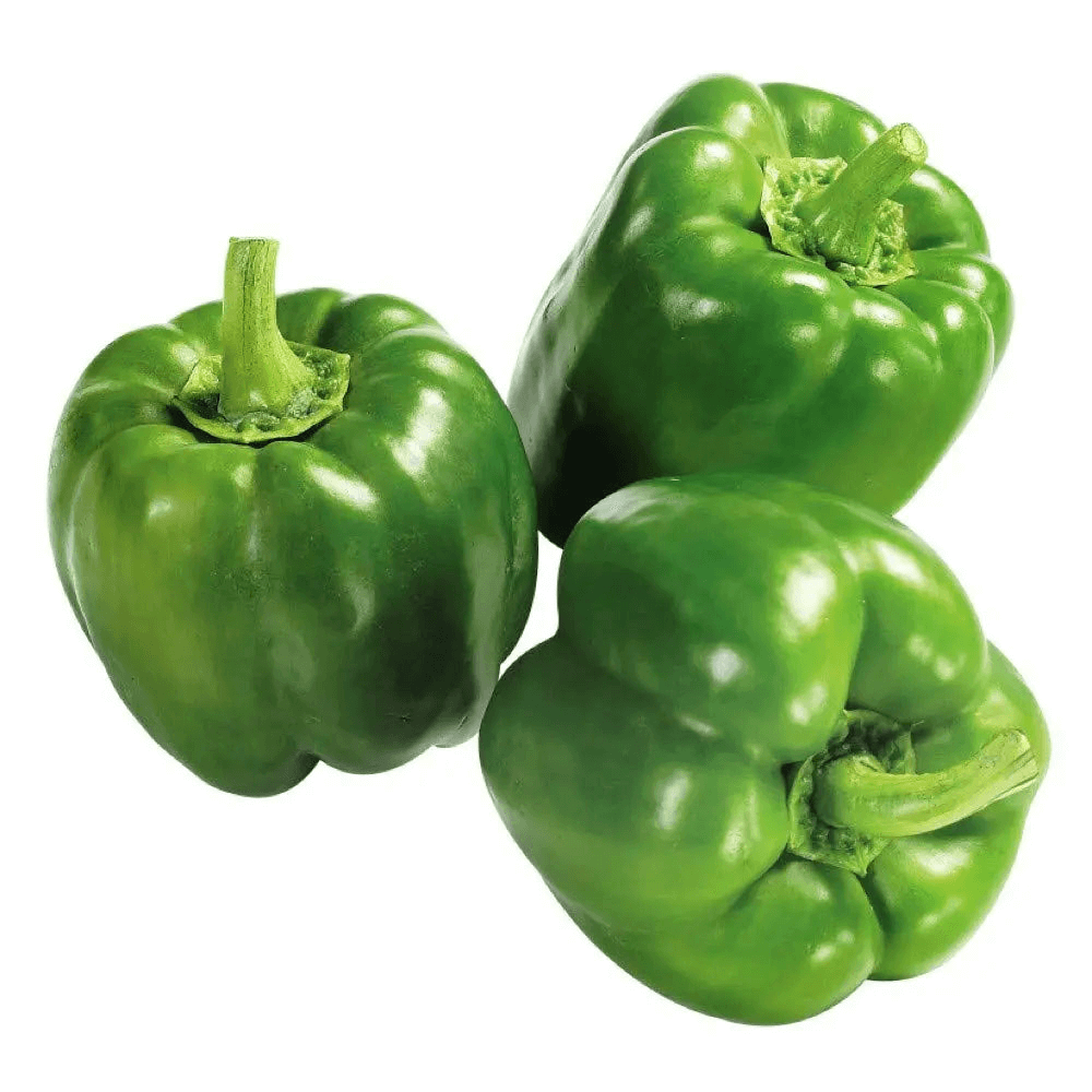 Jordanian Capsicum