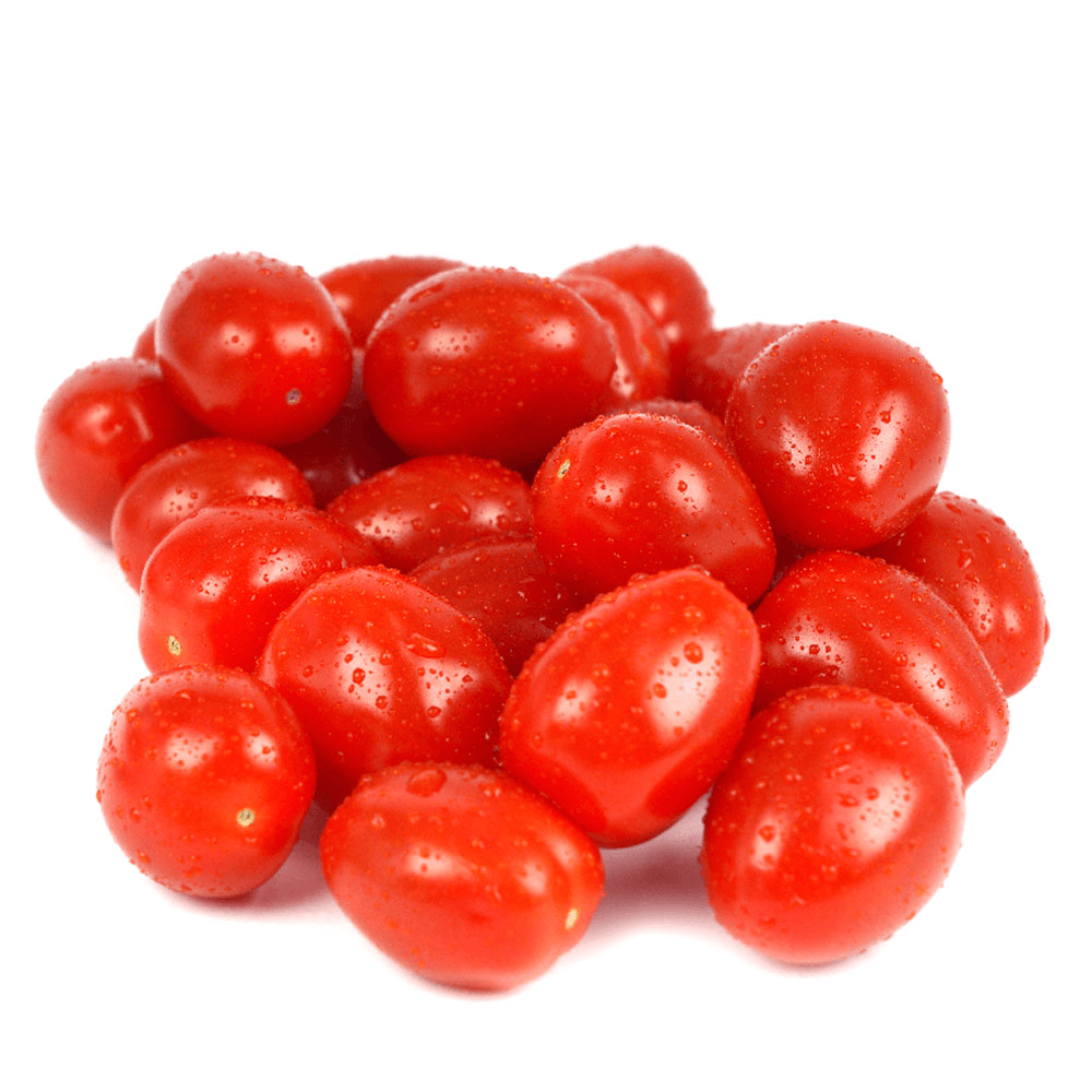 Dutch Red Cherry Tomato Plum Shaker