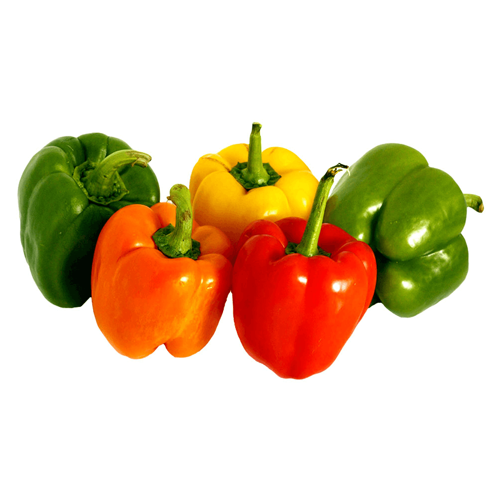 Jordanian Mix Capsicum