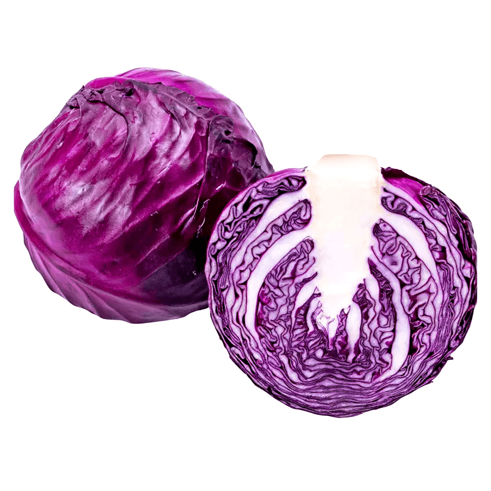 Red Round Cabbage