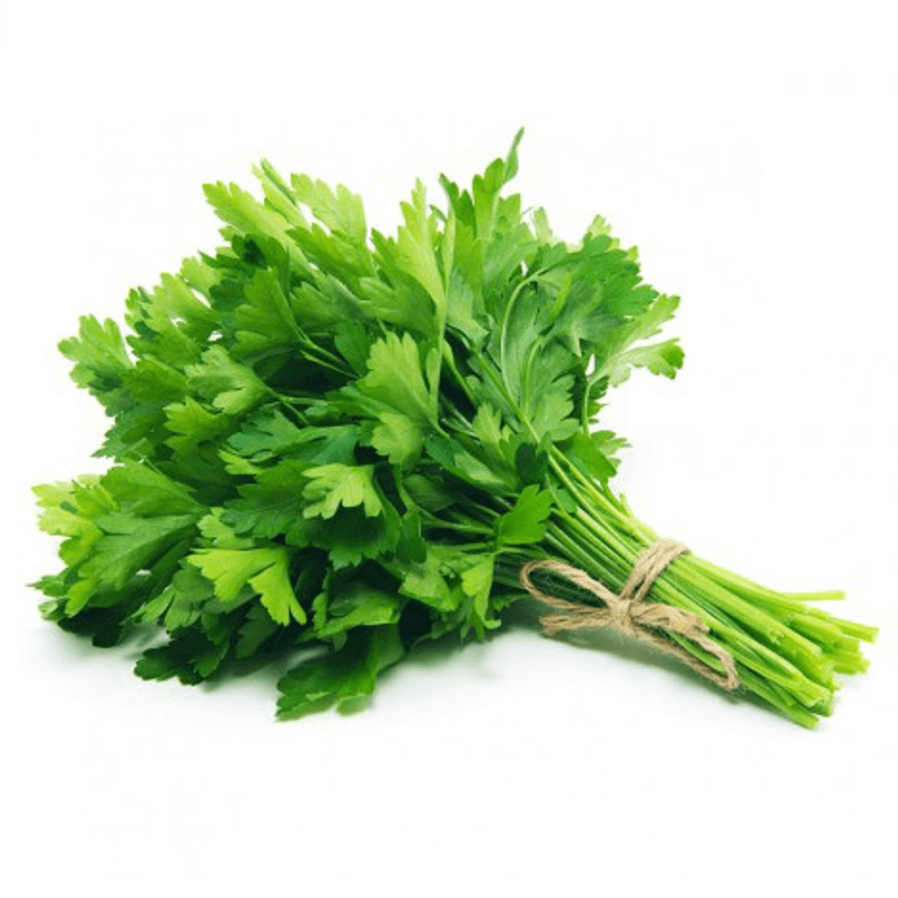 [KW028827] Kuwaiti Celery Leaves