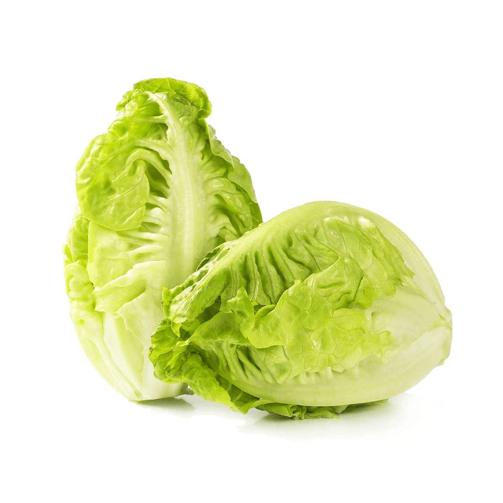 Dutch Baby Lettuce Gem