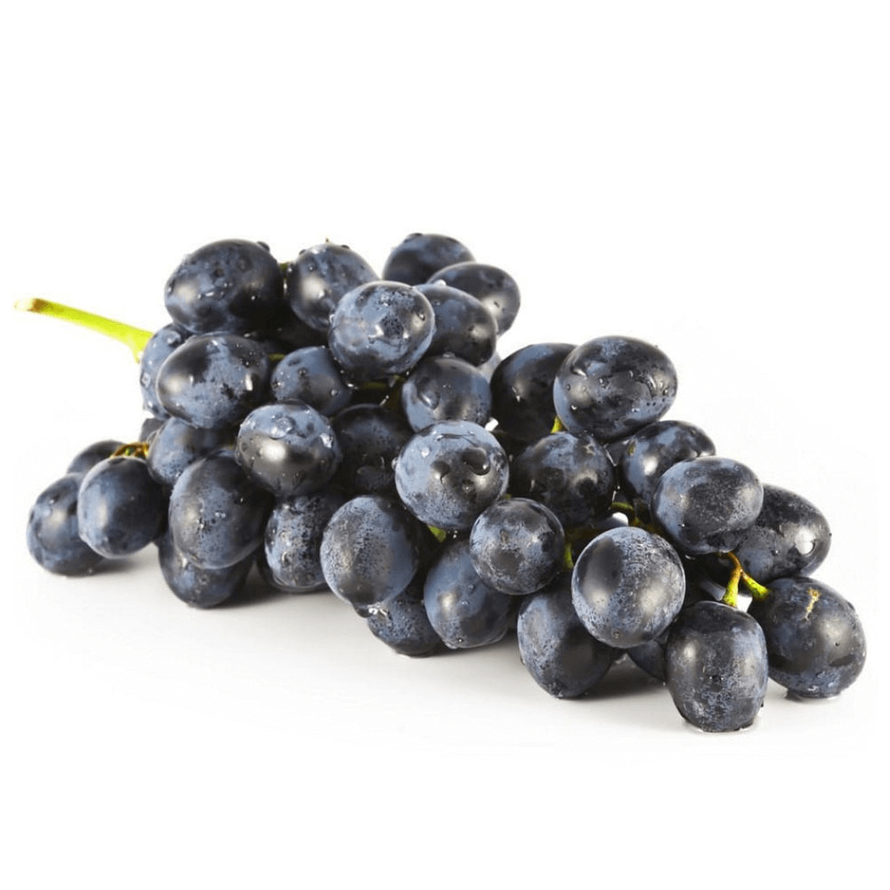 [KW046148] Lebanese Black Grape