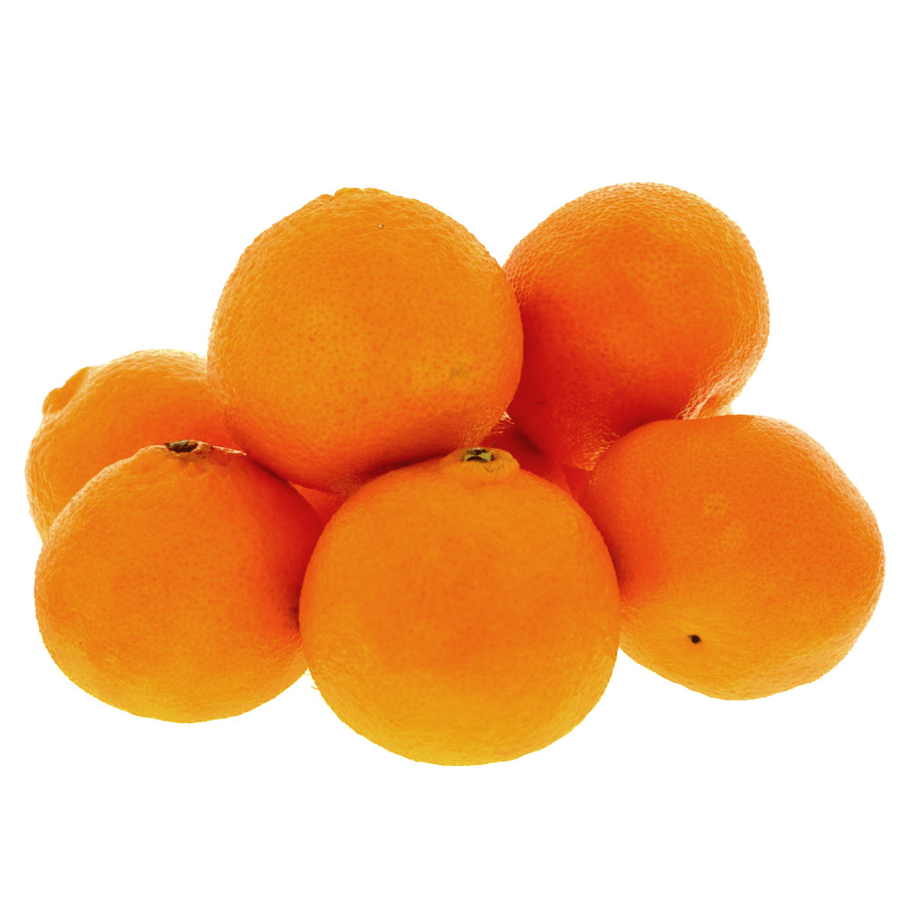 Lebanese Clementine