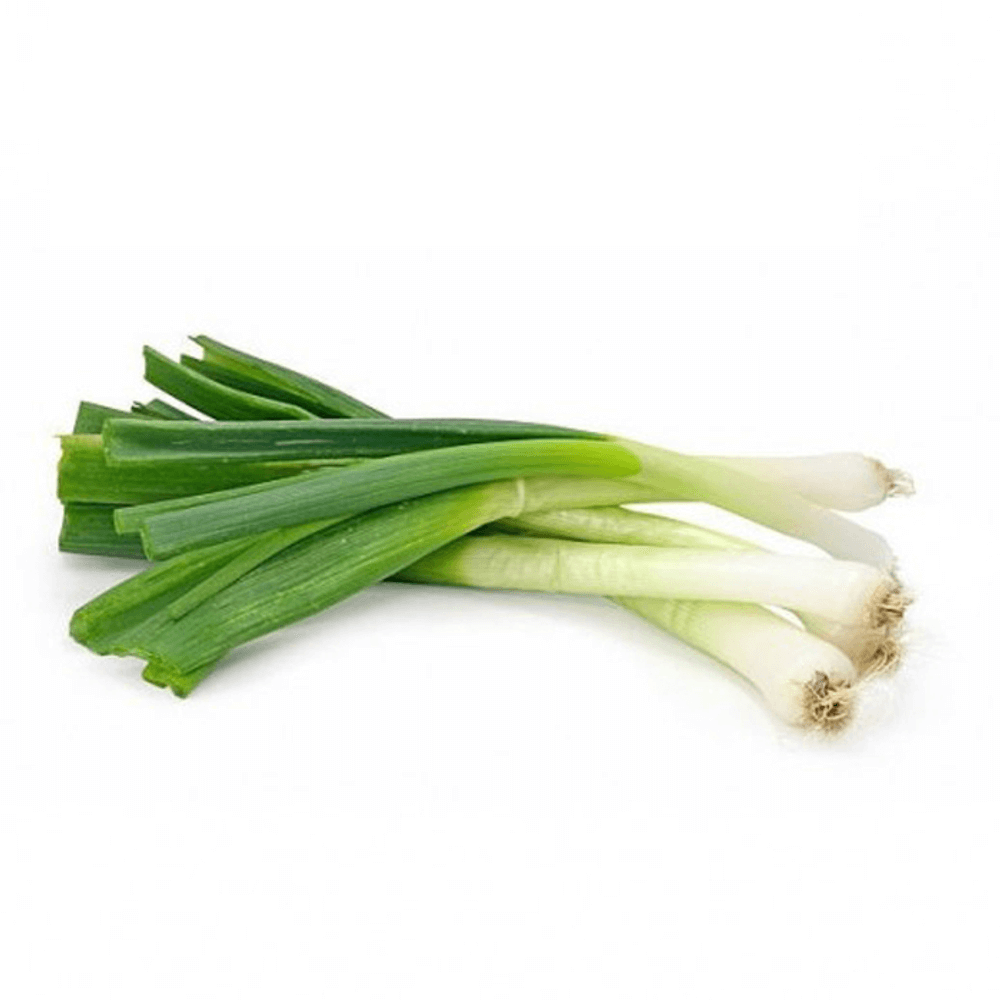 [KW028822] Kuwaiti Green Onion