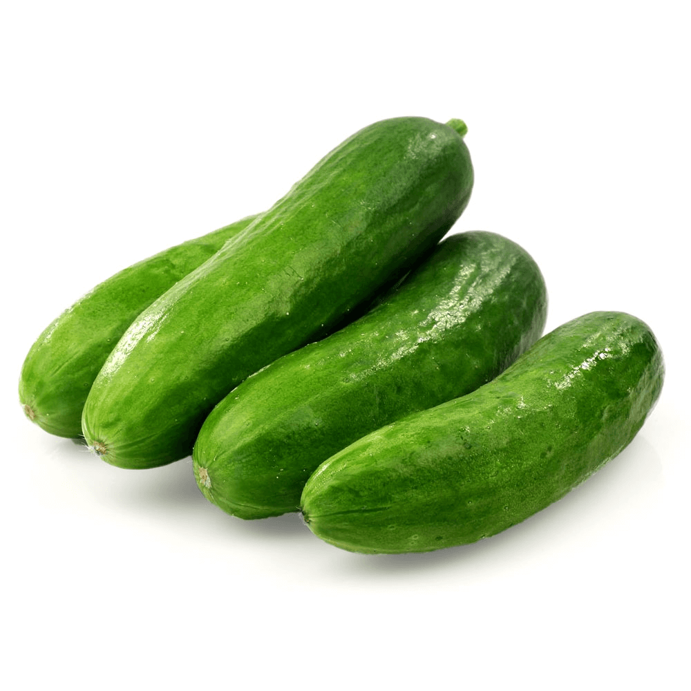 Kuwaiti Baby Cucumber