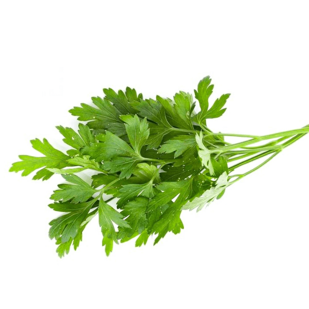 Kuwaiti Green Parsley
