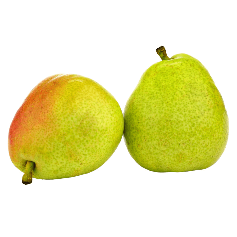 Natureland Pear