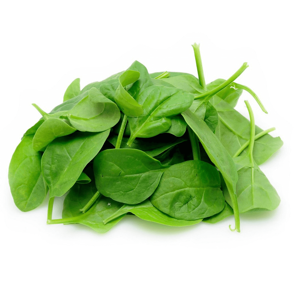 Holland Baby Spinach