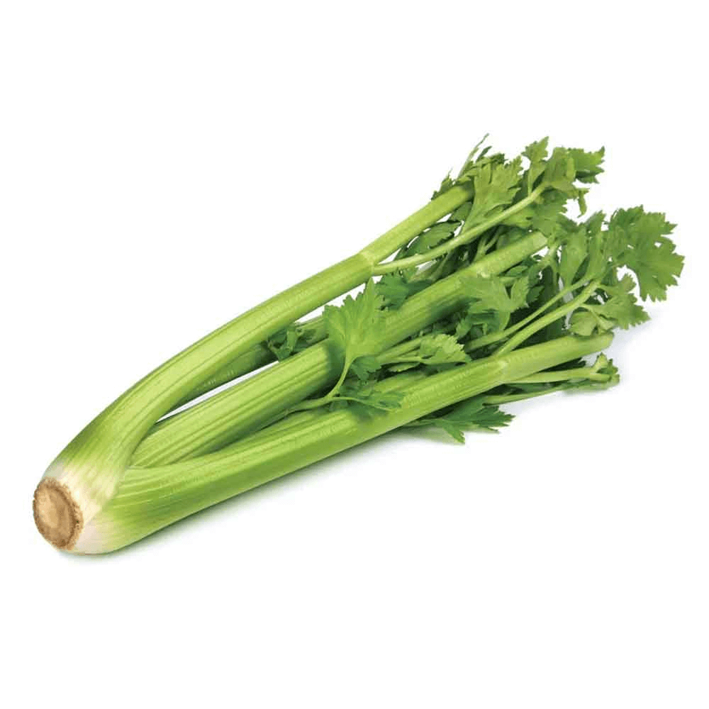 [KW050733] Natureland Organic Celery