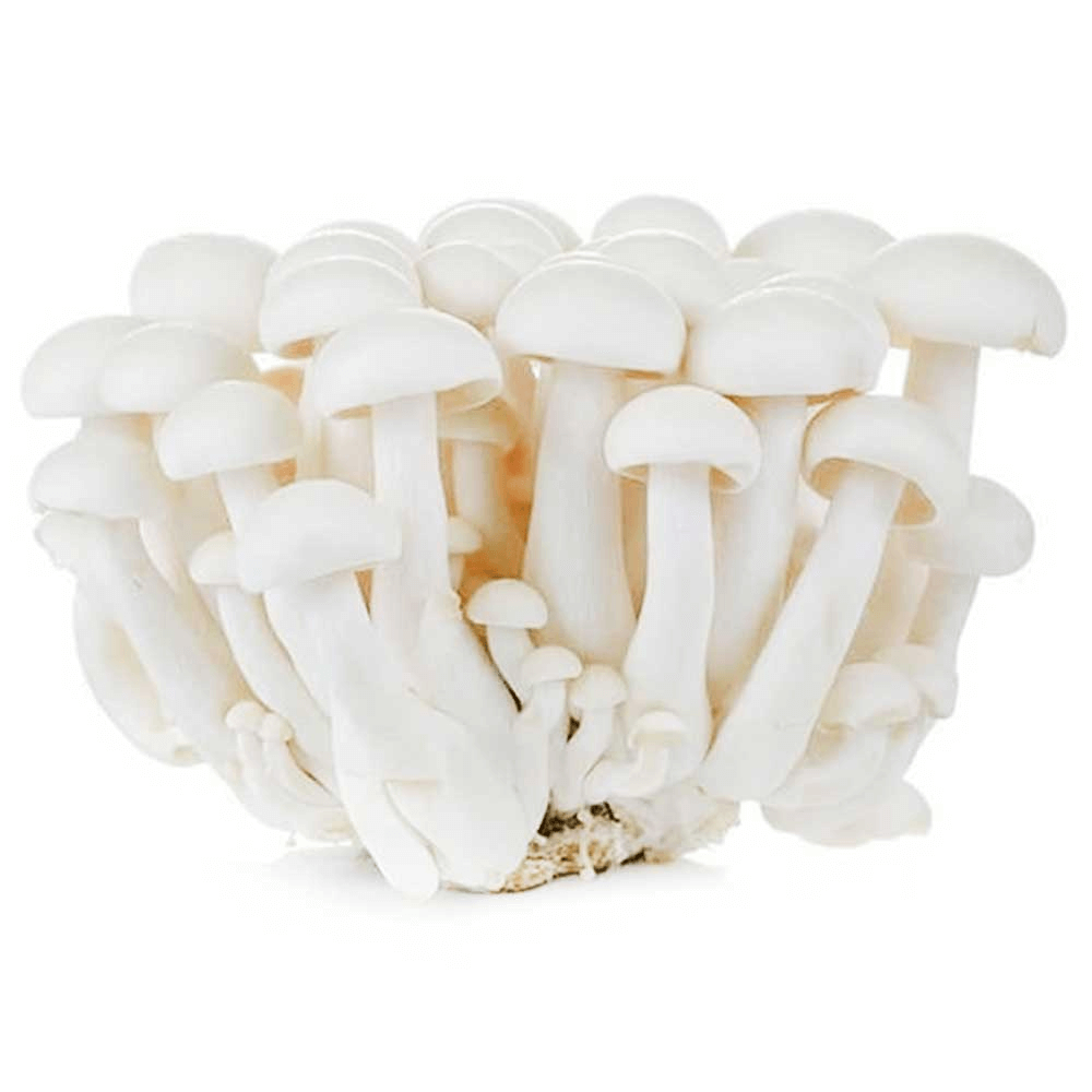 Shimenji White Mushrooms