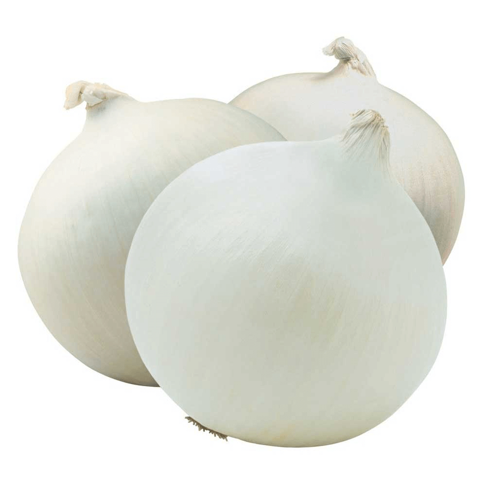 Lebanese White Onion