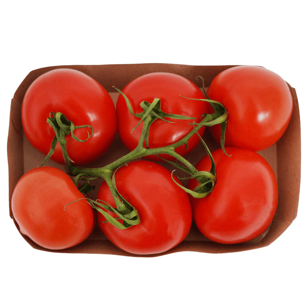 Natureland Organic Tomato Vine