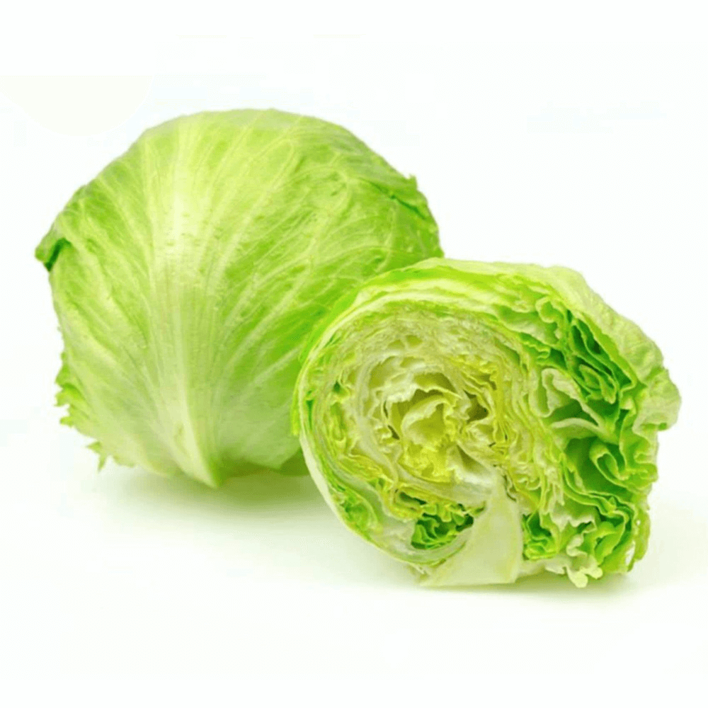Jordanian iceberg Lettuce