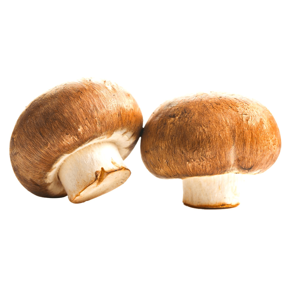 Natureland Organic Brown Mushroom