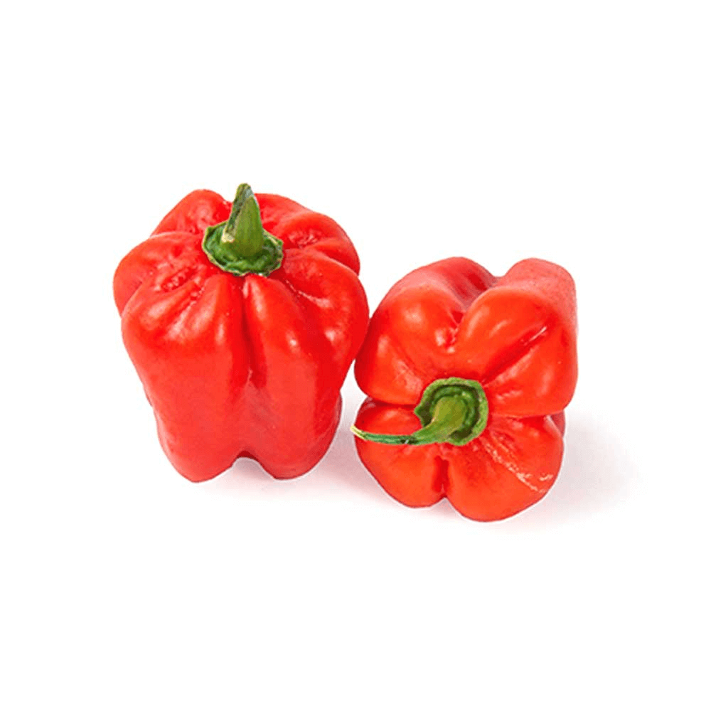 Red Chili Habanero