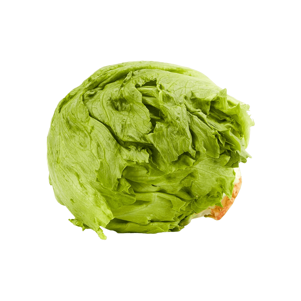 Organic Iceberg Lettuce