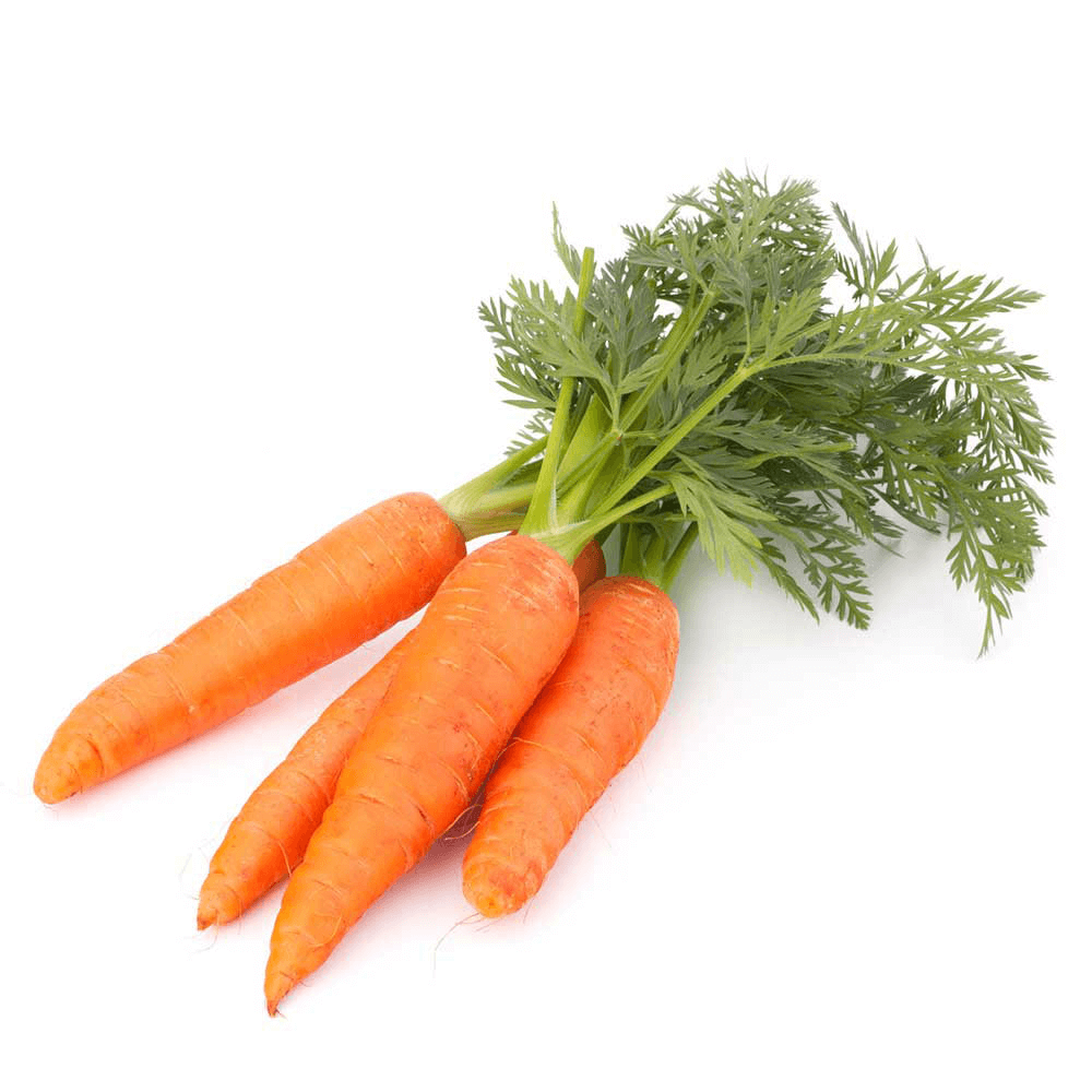 Chinese Carrot