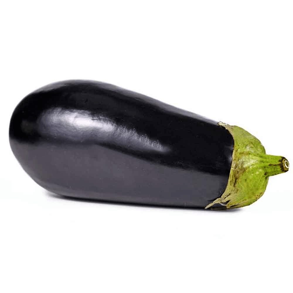 [KW050727] Natureland Organic Eggplant