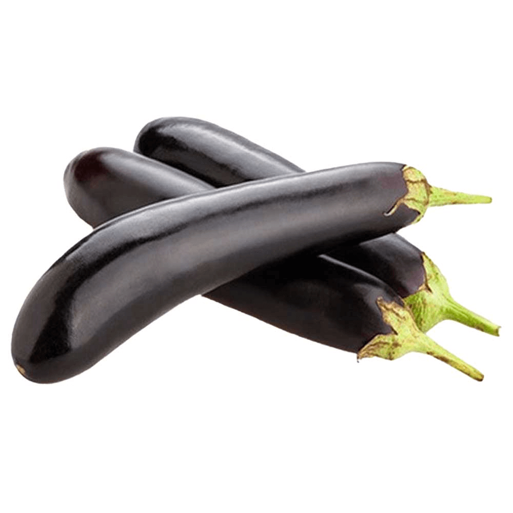 [KW058726] Kuwaiti Long Eggplant