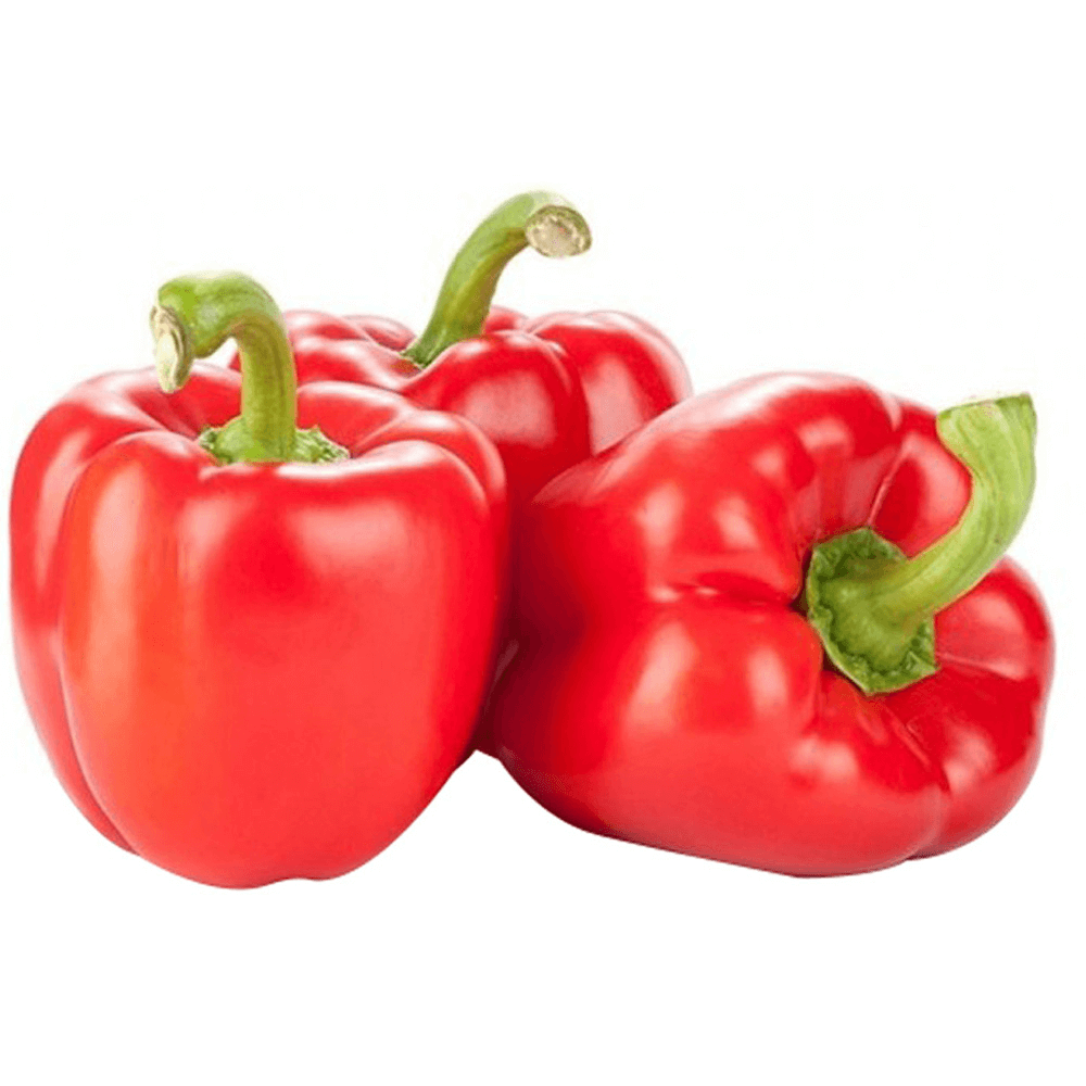 Jordanian Red Capsicum