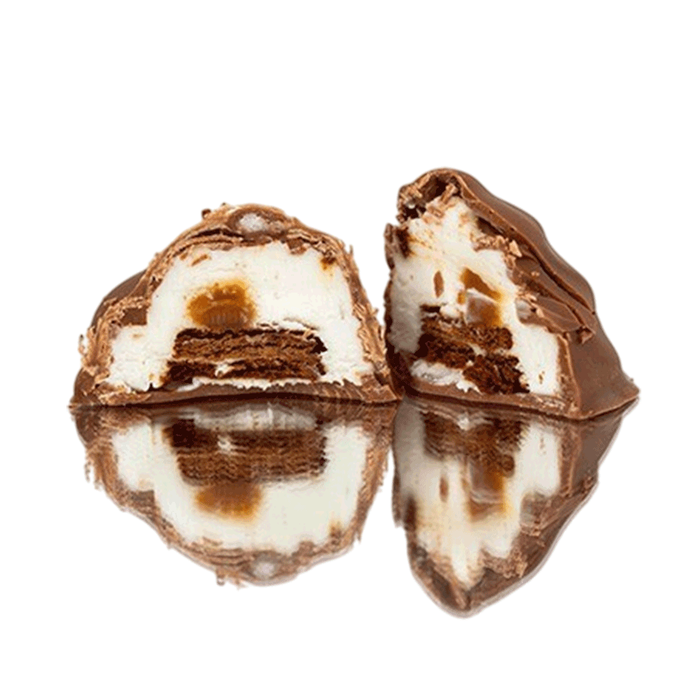 Rych Turtle Ice Cream Bites Sandwich