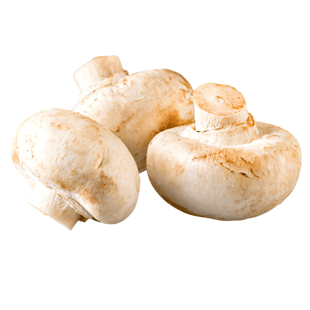 Natureland Organic White Mushroom