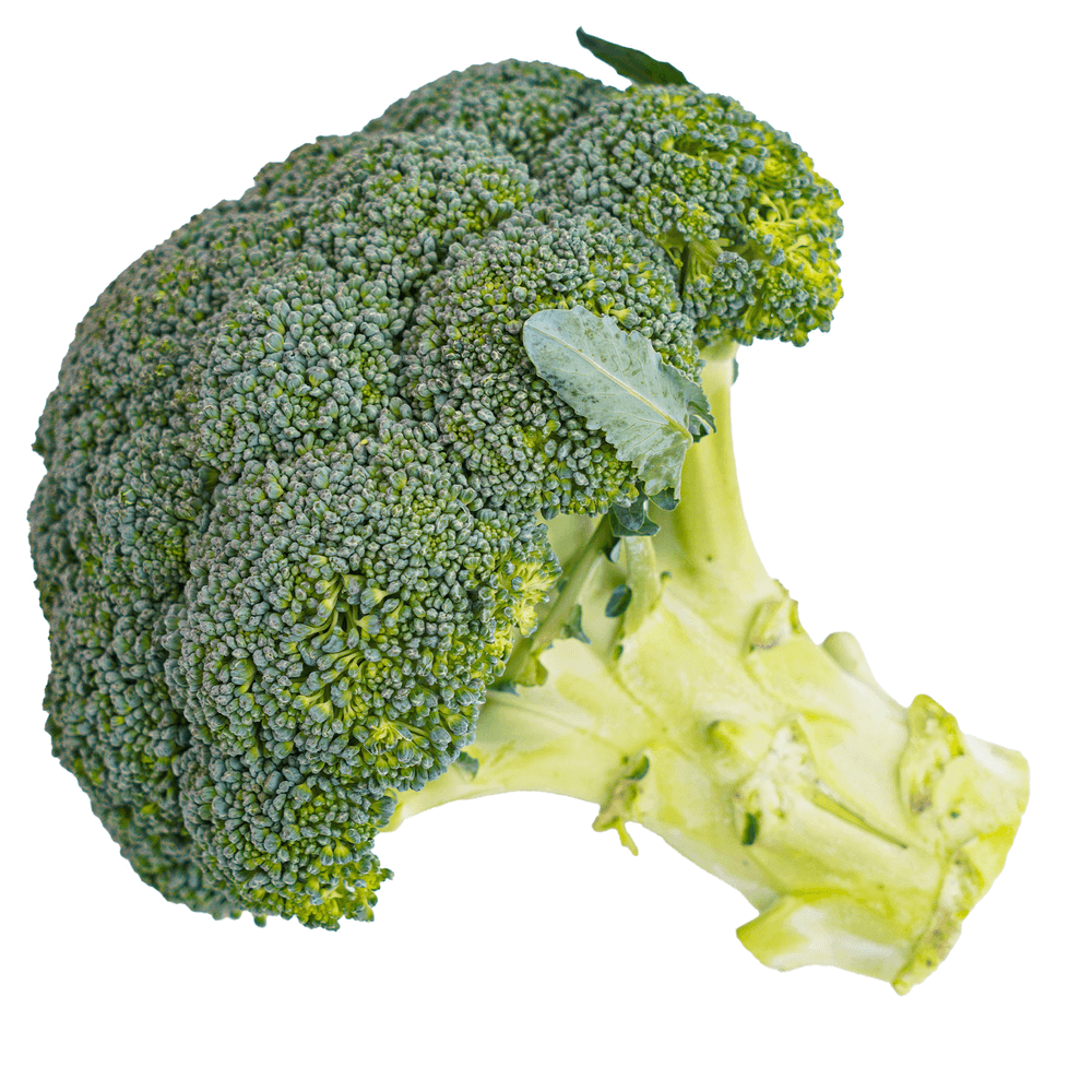 [KW050738] Natureland Organic Broccoli