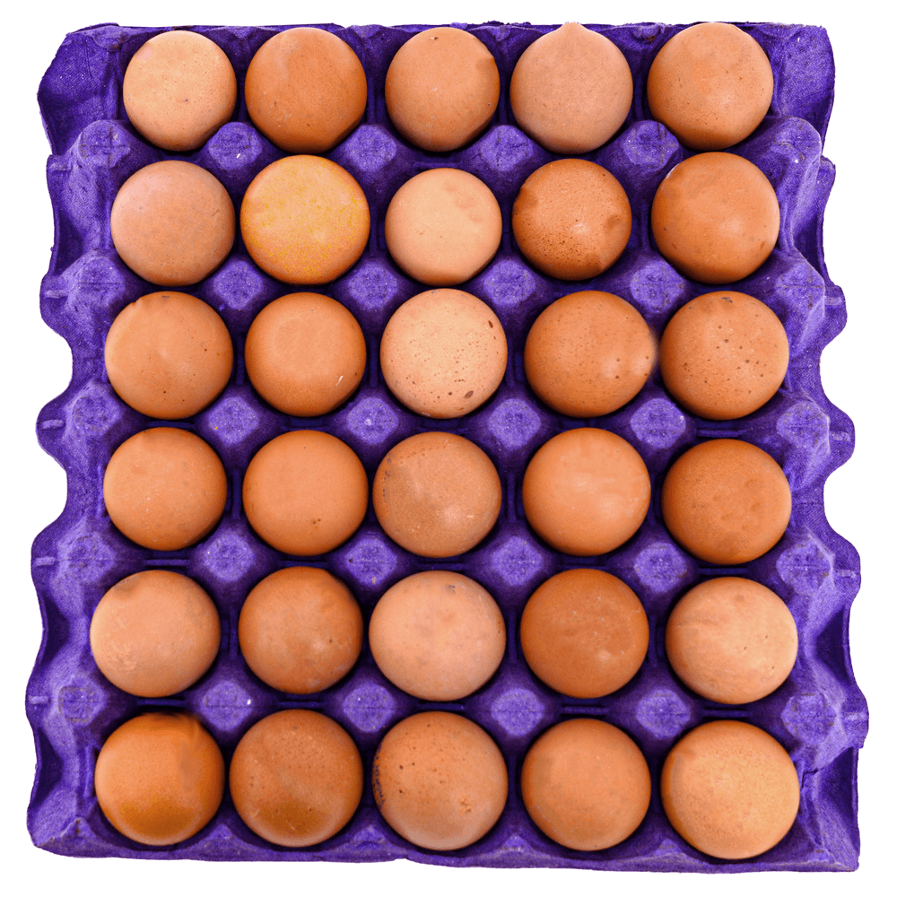 [KW049970] Yasmin Farms Natural Brown Eggs
