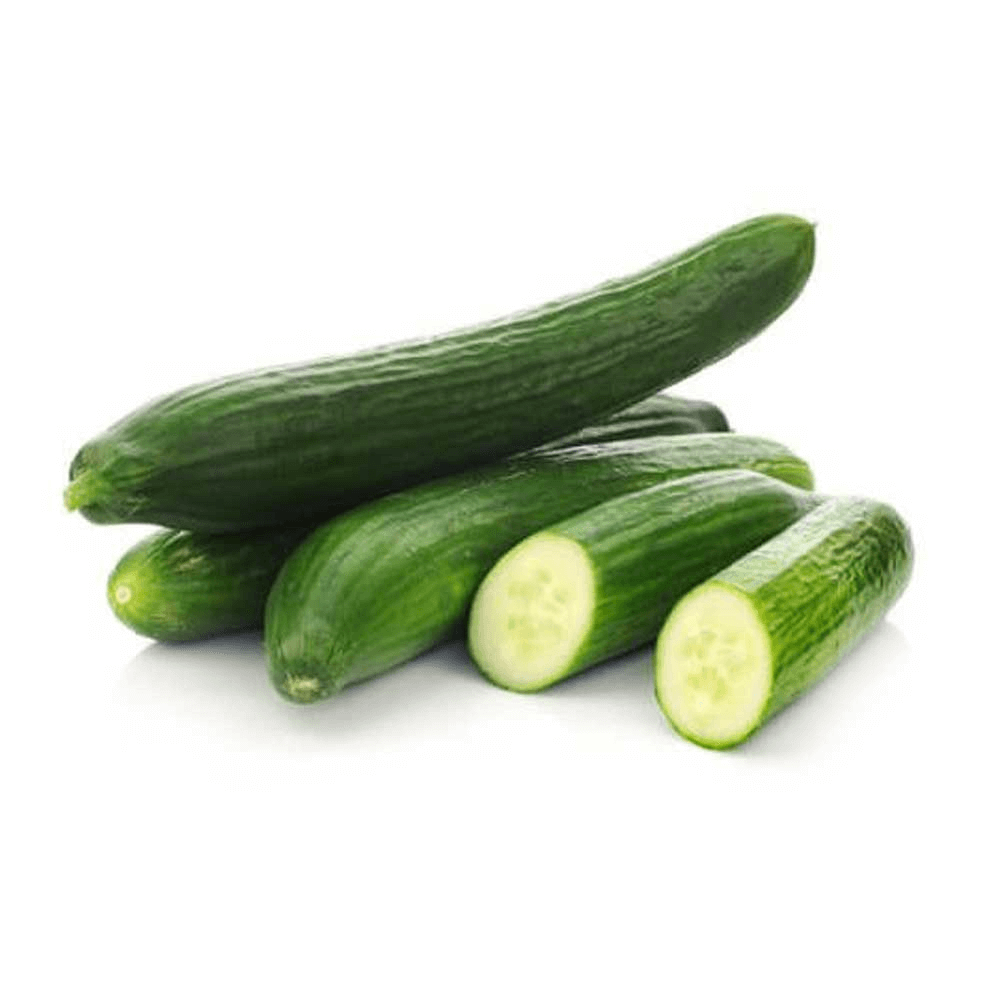 [KW062798] Dutch Cucumber