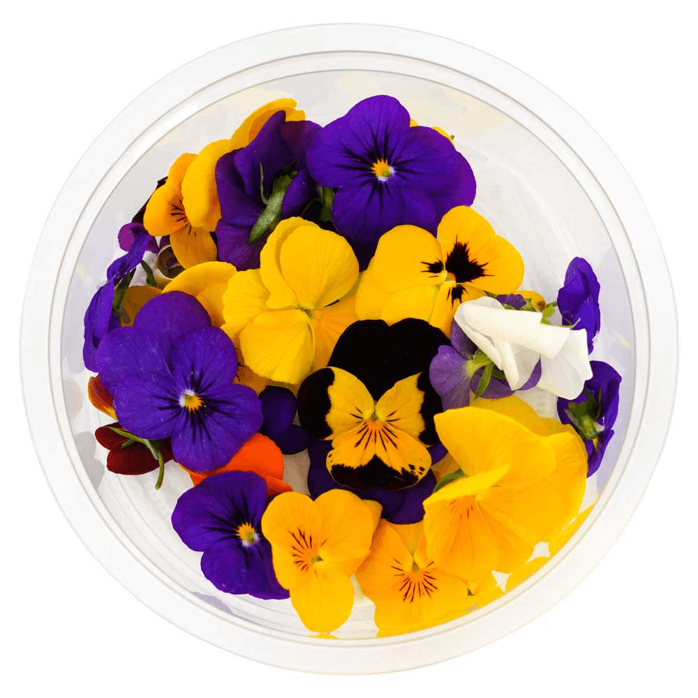 Holland Edible Flowers