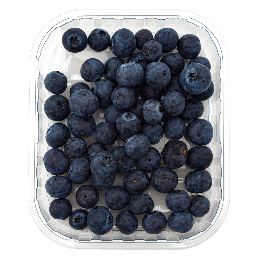[KW050747] Natureland Blueberry