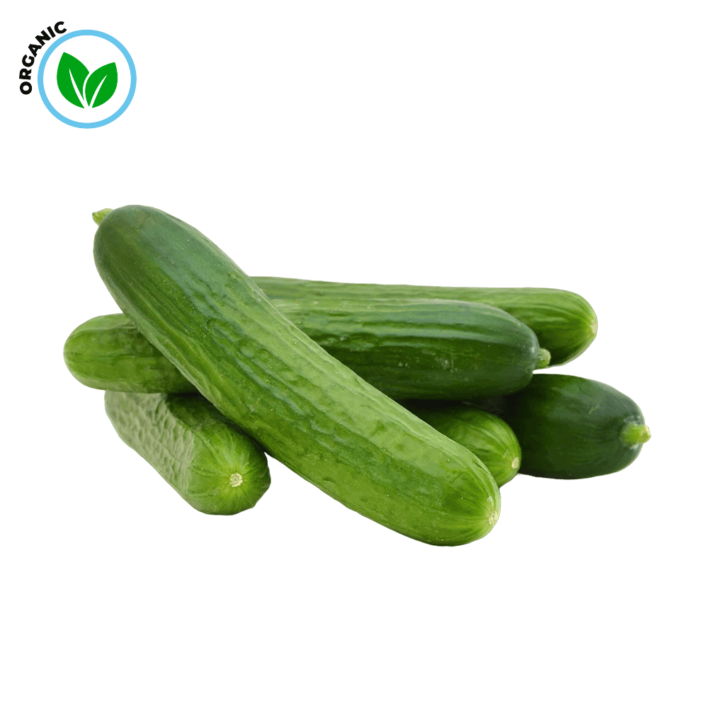 Freshika Fresh Cucumber