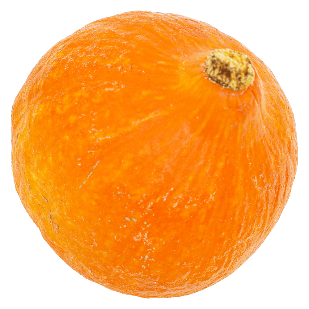 Natureland Organic Orange Pumpkin