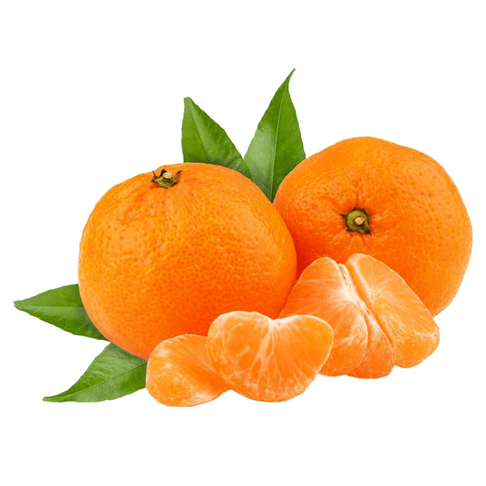 [KW059899] Syrian Clementine