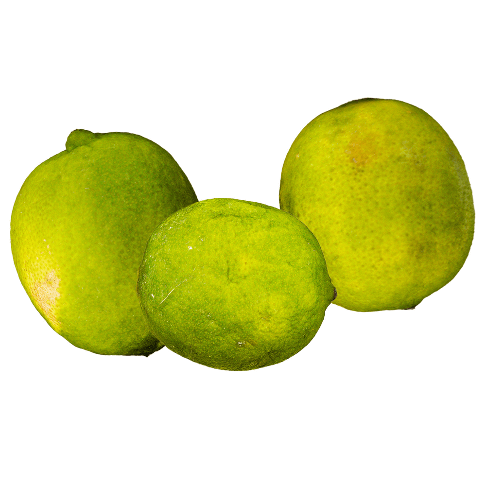 [KW050750] Natureland Limes