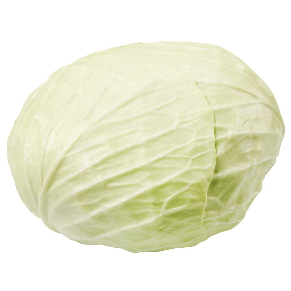 [KW056284] Saudi Rounded Cabbage